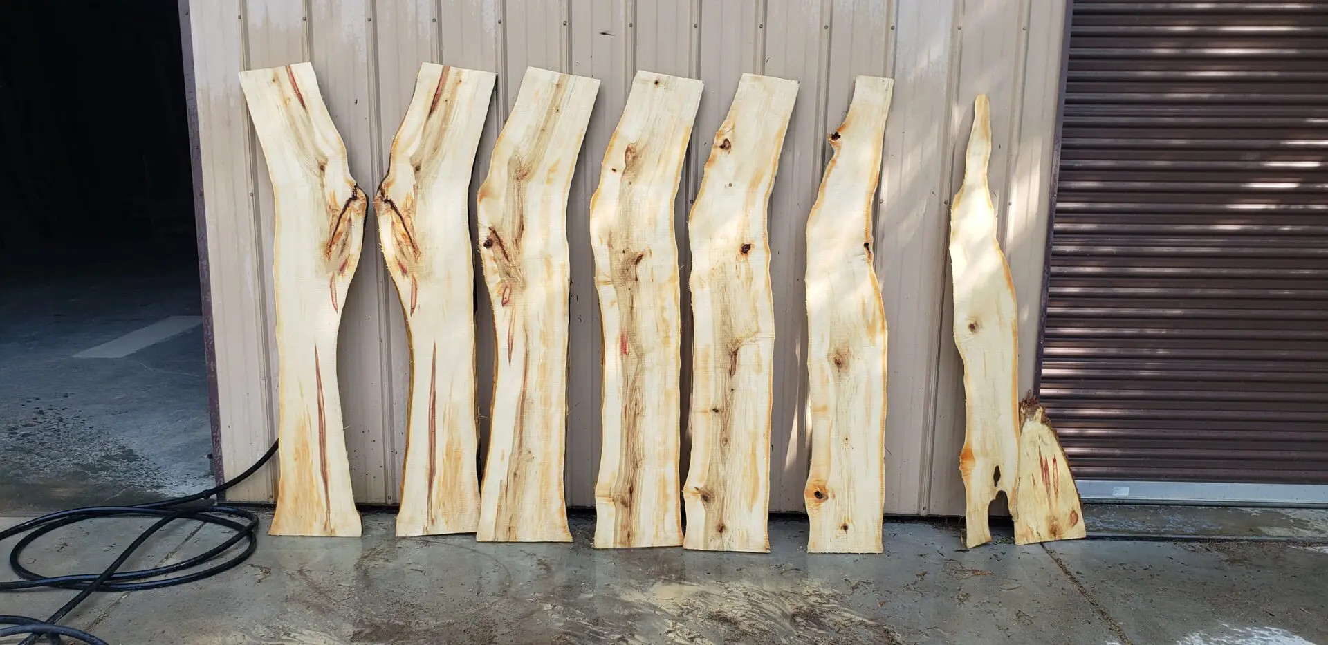 Box Elder Wood Slabs