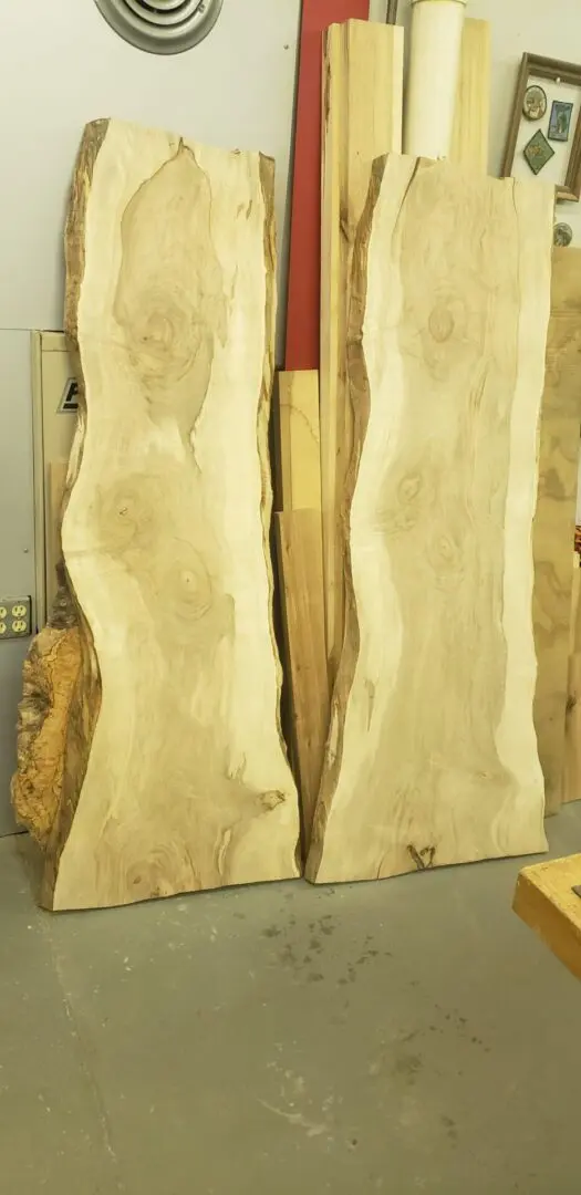 Curly Silver Maple Slabs $300.00 Each